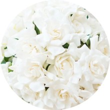 Нота аромата Белые цветы