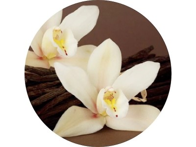 Ванильная орхидея